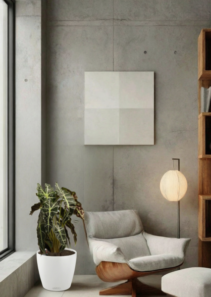 Алоказия Полли 17/50 см в CLASSICO Color 21