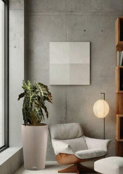 Алоказия Полли 17/50 см в CILINDRO 23