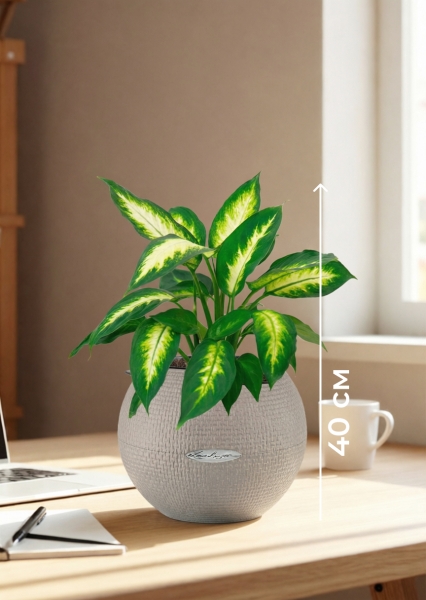 Диффенбахия Камилла 12/40 см в PURO 20 Диффенбахия Камилла 12/40 см в PURO 20