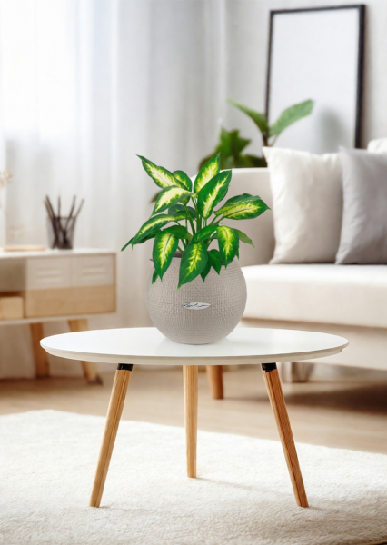 Диффенбахия Камилла 12/40 см в PURO 20 Диффенбахия Камилла 12/40 см в PURO 20