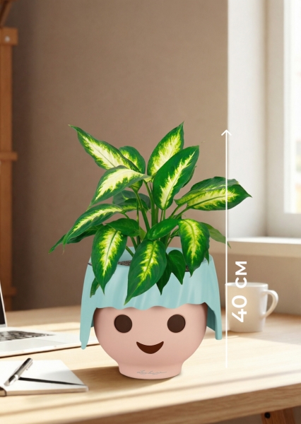 Диффенбахия Камилла 12/40 см в OJO Диффенбахия Камилла 12/40 см в OJO