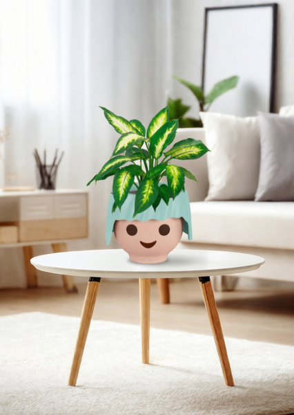 Диффенбахия Камилла 12/40 см в OJO Диффенбахия Камилла 12/40 см в OJO