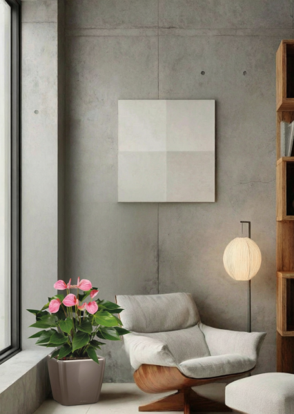 Антуриум Андрианум розовый 17/60 см в QUADRO LS 21