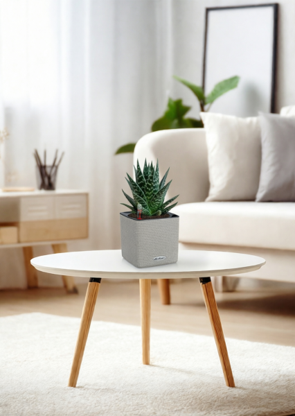 Алоэ Тики Таки 10/20 см в CUBE COLOR 14 Алоэ Тики Таки 10/20 см в CUBE COLOR 14