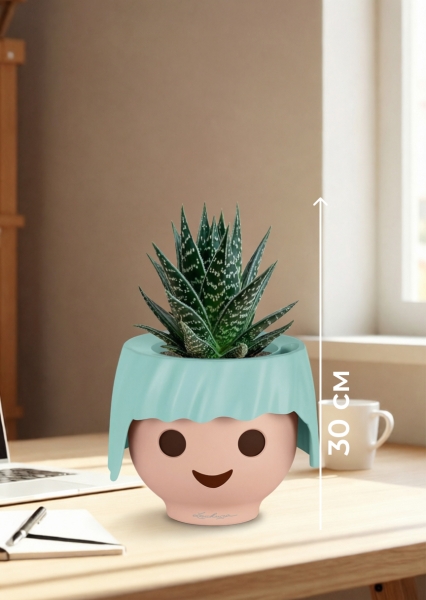 Алоэ Тики Таки 10/20 см в OJO Алоэ Тики Таки 10/20 см в OJO