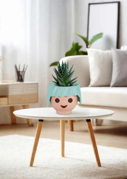 Алоэ Тики Таки 10/20 см в OJO Алоэ Тики Таки 10/20 см в OJO