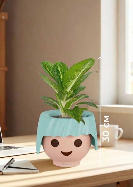 Аглаонема Еллоу Биколор 12/30 см в OJO Аглаонема Еллоу Биколор 12/30 см в OJO