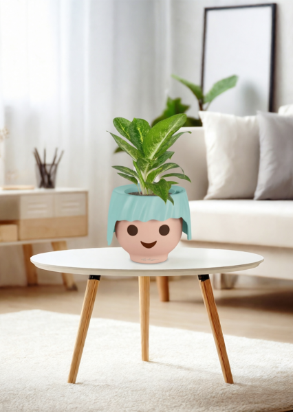 Аглаонема Еллоу Биколор 12/30 см в OJO Аглаонема Еллоу Биколор 12/30 см в OJO