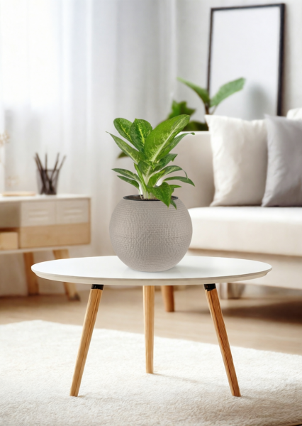 Аглаонема Еллоу Биколор 12/30 см в PURO 20 Аглаонема Еллоу Биколор 12/30 см в PURO 20