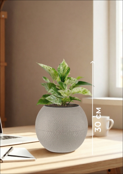 Сциндапсус Марбл Квин 12/20 см в PURO 20 Сциндапсус Марбл Квин 12/20 см в PURO 20