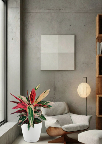 Строманта 19/65 см в CLASSICO COLOR 28 Строманта 19/65 см в CLASSICO COLOR 28