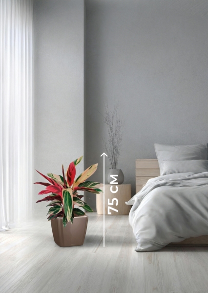 Строманта 19/65 см в QUADRO LS 28 Строманта 19/65 см в QUADRO LS 28