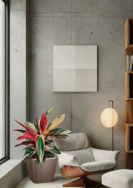 Строманта 19/65 см в QUADRO LS 28 Строманта 19/65 см в QUADRO LS 28