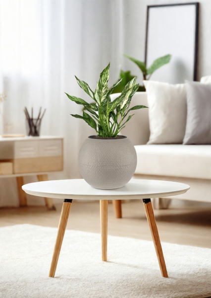 Спатифиллум вариегатный (без соцветий) 12/40 см в PURO 20