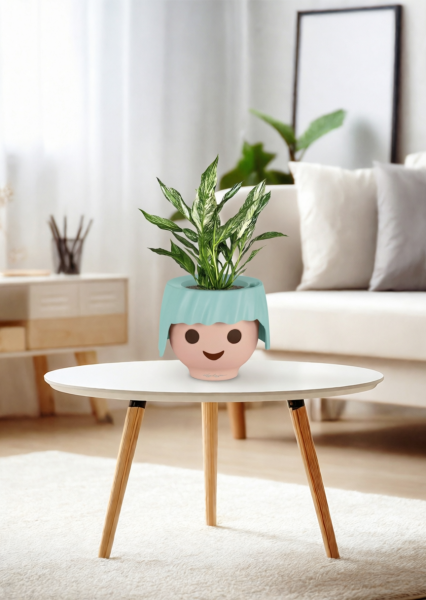 Спатифиллум вариегатный (без соцветий) 12/40 см в OJO