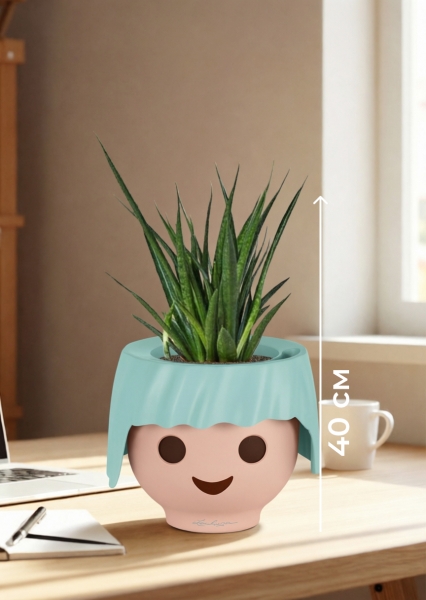 Сансевиерия Кирки 12/37 см в OJO