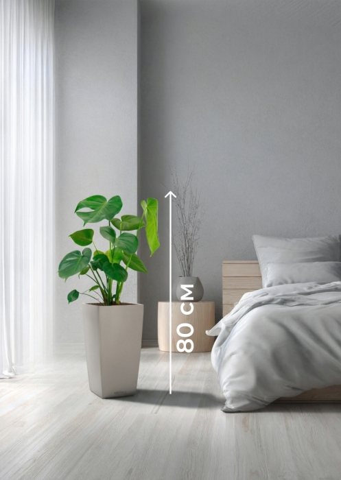 Монстера Делициоза 17/60 см в CUBICO COLOR 22