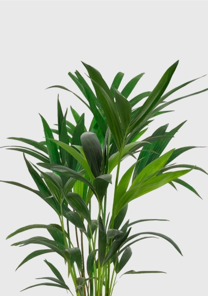 Ховея 17/90 см в CUBICO 22