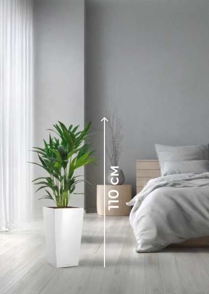 Ховея 17/90 см в CUBICO 22