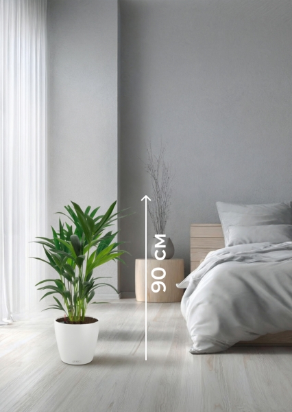 Ховея 17/90 см в CLASSICO COLOR 21