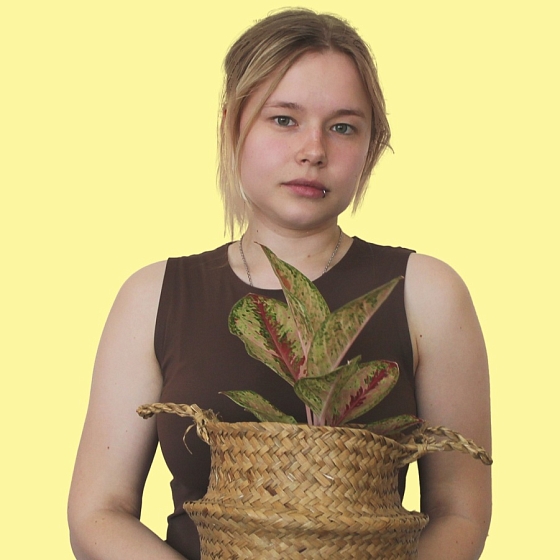 Елена
