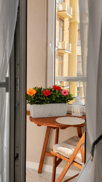 Гибискусы микс в Cottage 50
