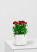 Гвоздика Оскар 12/25 см в CUBE GLOSSY 14
