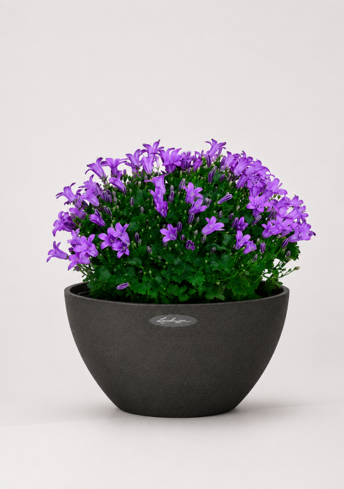 Колокольчики в CUBETO Stone 30х13 см, графит