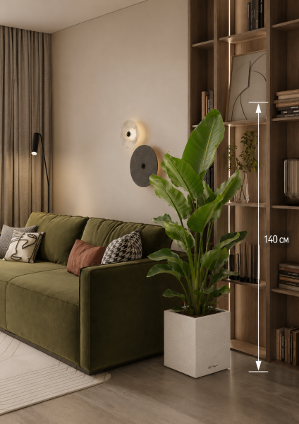 Стрелиция Николай 24/120 в CANTO Stone low 30