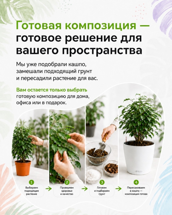 Фикус Бенджамина Экзотика 27/150 см в QUADRO LS 35