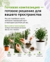 Фикус Бенджамина Экзотика 27/150 см в QUADRO LS 35