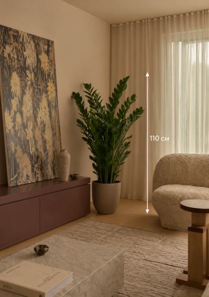 Замиокулькас 12+ веток d24 см h110 см