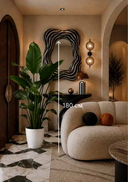 Стрелиция Николай 35/180 см в CLASSICO COLOR 43