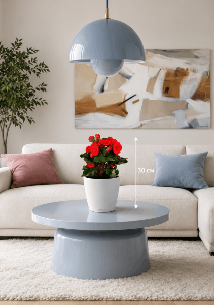 Бегония микс 14/30 см в CLASSICO COLOR 18
