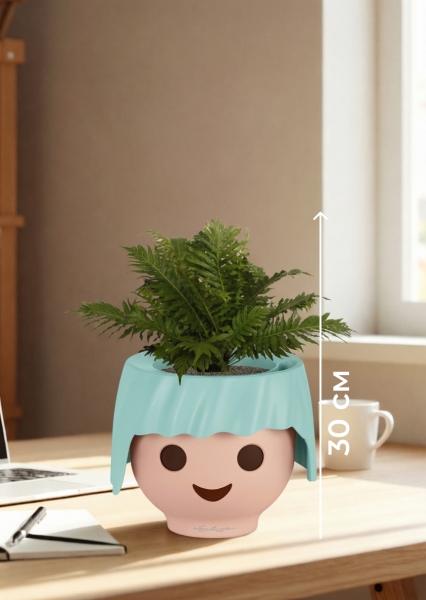 Блехнум 12/30 см в OJO Блехнум 12/30 см в OJO