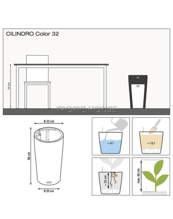 Вашингтония в CILINDRO 32 Вашингтония в CILINDRO 32