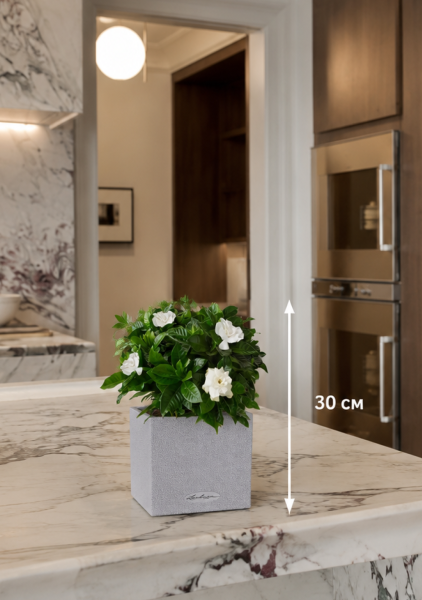 Гардения 12/30 см в CANTO STONE 14 Гардения 12/30 см в CANTO STONE 14