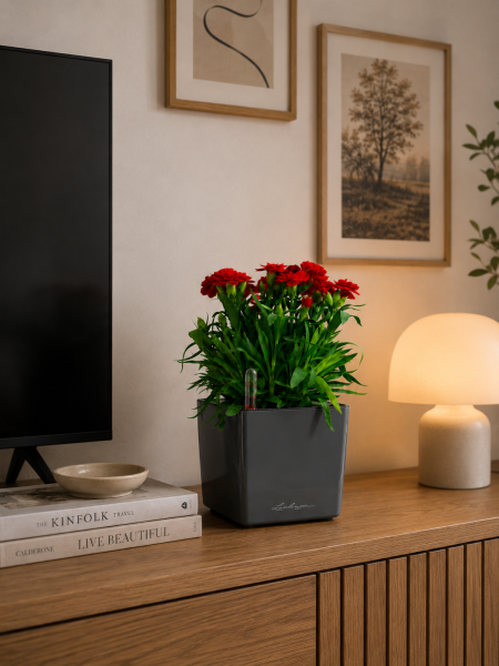 Гвоздика Оскар 12/25 см в CUBE GLOSSY 14 Гвоздика Оскар 12/25 см в CUBE GLOSSY 14
