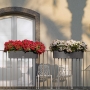 Гортензия розовая для балконов и терасс в BALCONERA Cottage 50