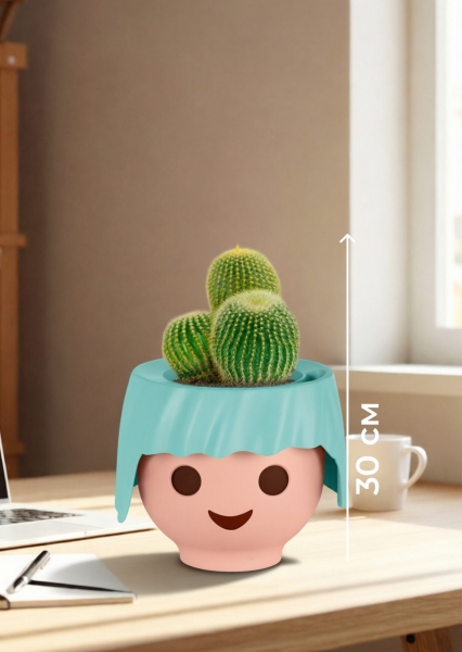 Кактус Пародия Ленингхауза 12/20 см в OJO