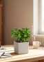 Кофе 12/30 см в CUBE COLOR 14 Кофе 12/30 см в CUBE COLOR 14