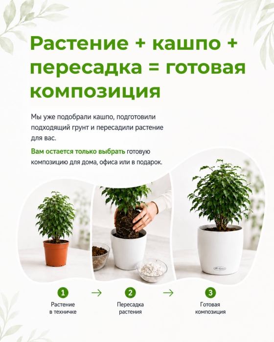 Кофе 12/30 см в OJO