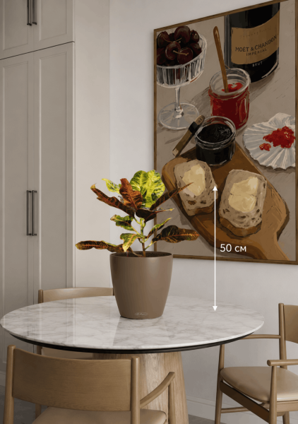 Кротон (Кодиеум) Миссис Айстон 14/50 см в CLASSICO COLOR 18