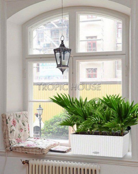 Ливистона Cottage 50 Ливистона Cottage 50
