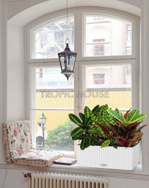 Лиственный микс в Cottage 50 Лиственный микс в Cottage 50