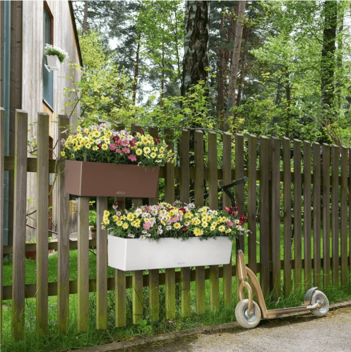 Петуния Белая в BALCONERA 50