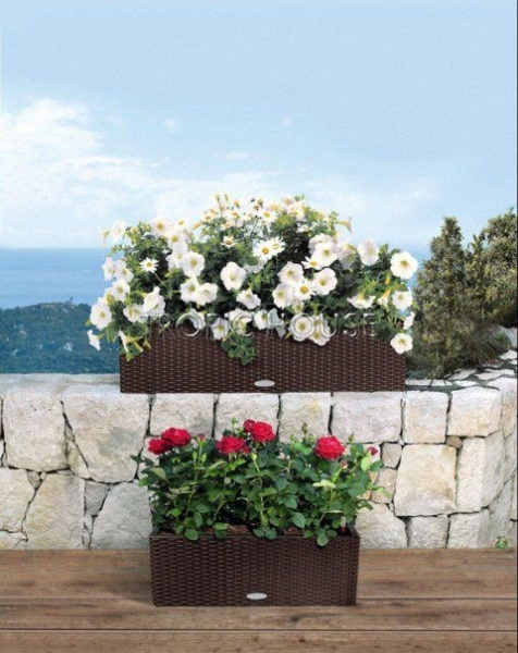 Петуния белая в BALCONERA Cottage 50