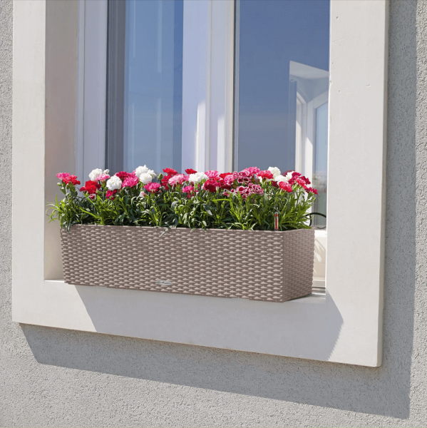 Петуния Цветной Микс в BALCONERA Cottage 80