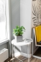 Сингониум в CANTO STONE 14
