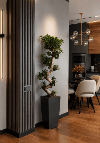 Фикус Микрокарпа Гинсенг 40/130 см в CUBICO 50